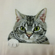 Illustration for article titled Internet Cats Make Boring Dress Shirts Better